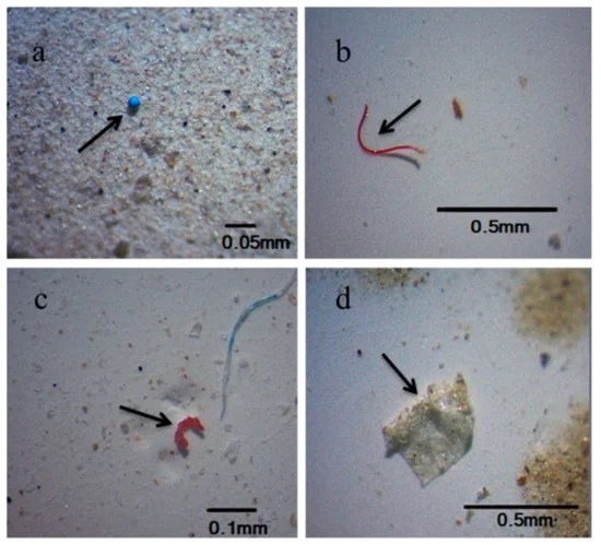 Microplastics in bottled water tap 2022