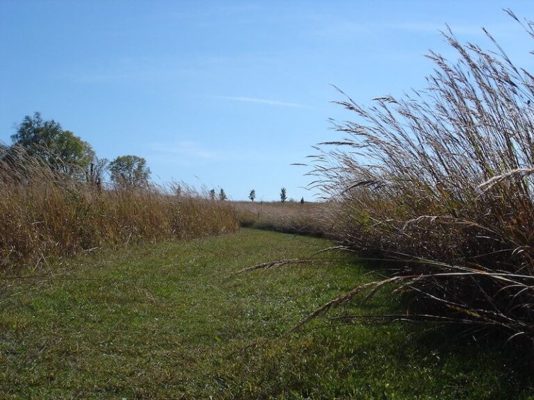ioway prarie 01