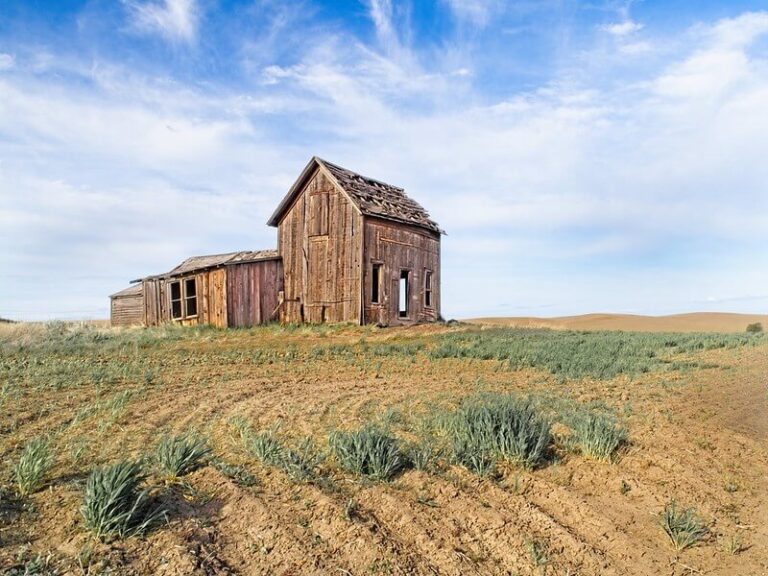 empty farm 2