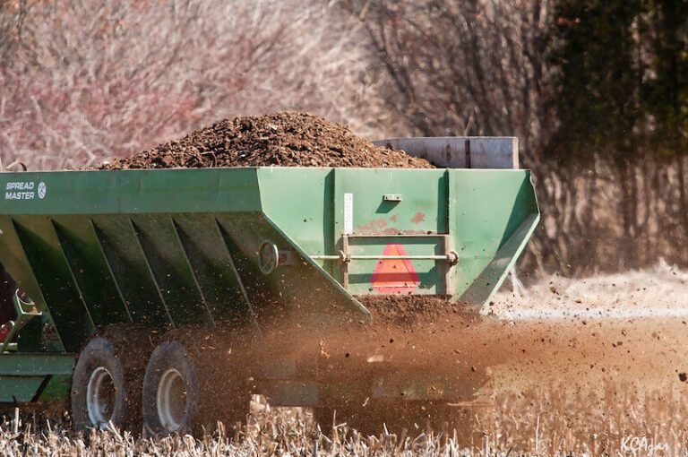 manure spreader on corn field 2