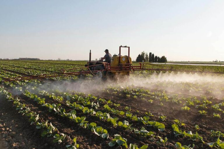 pesticides spray on field 1