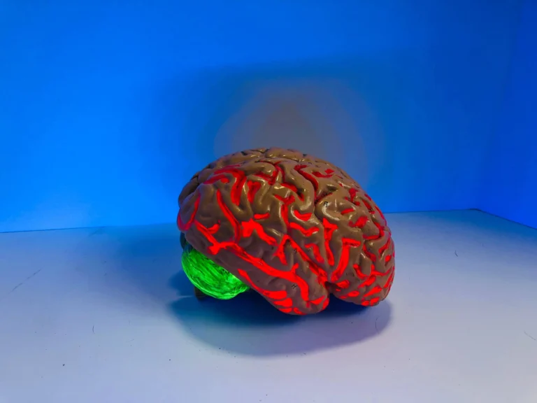 an inflamed brain