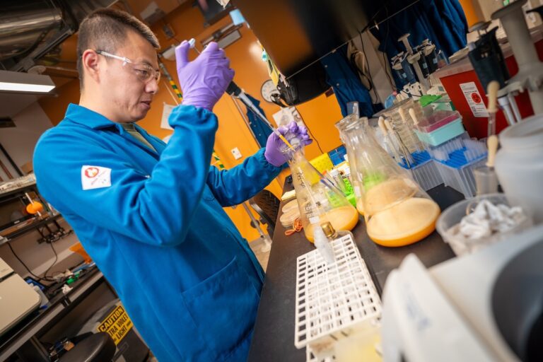 Chemist engineered microbes