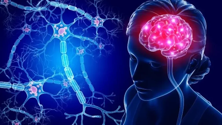 Human Brain and Neurons